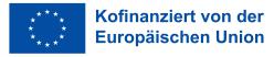 DE Kofinanziert von der Europaeischen Union DRUCK blau