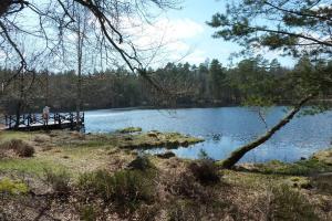Der See am Stadtrand Ronnebys ist typisch für die Landschaft Südschwedens